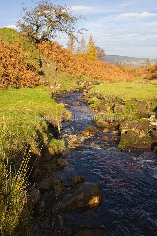 KJS_0562 - United Kindom