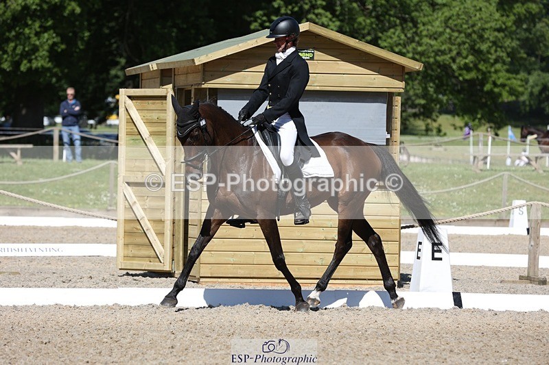 230526-102431-05251 - 361-FINCH_FANCY-Ben_Lee_Liles-WEDTrotUp+DR