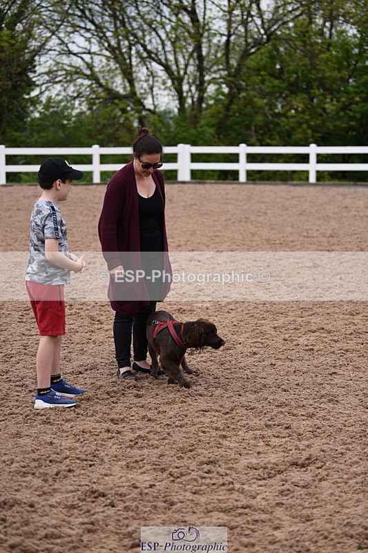 240518A-122136-01125 - Cls 4 Best Crossbred