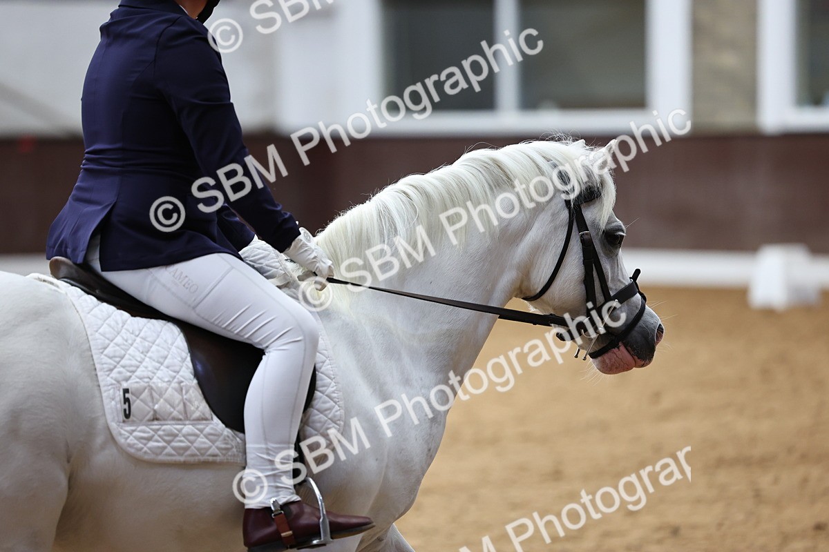 SBM_003453 - Intro 2