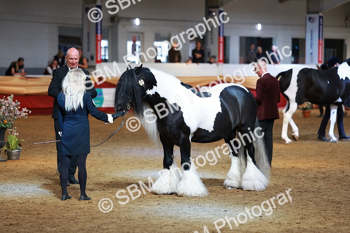 SBM_18516 - Class 903 - Sup Final - IH Pre Vet