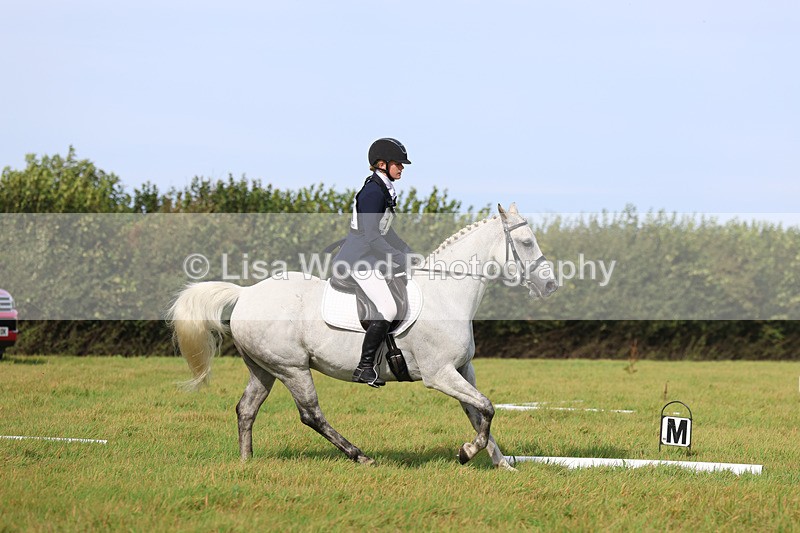 3E7A6307 - Class 1: Trebudannon Open: Dressage (Part 2)