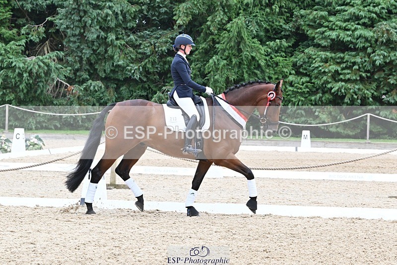 240811-132106-05893 - Adv Medium Silver