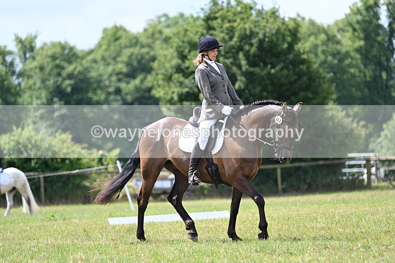 WJ7_4807 - Time 11:22 to 11:51