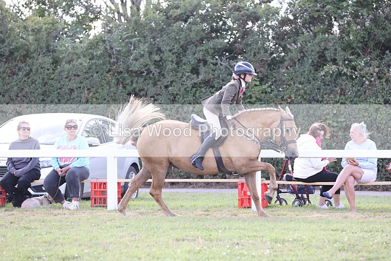 JPP_2719 - Class 20: Working Hunter 70cm