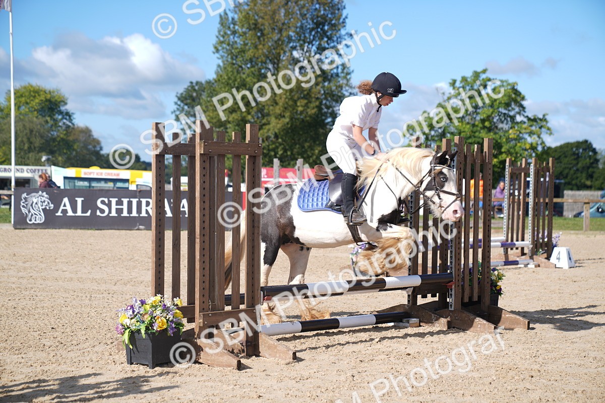 SBM_02368 - J54 Clear Round 45cm