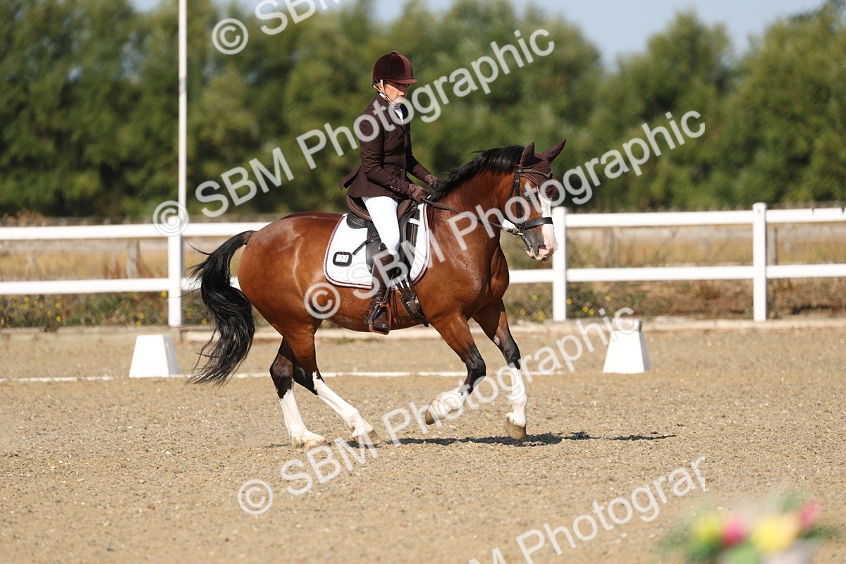 SBM_012788 - Class 1 - P5 Bronze 9.00.10.12