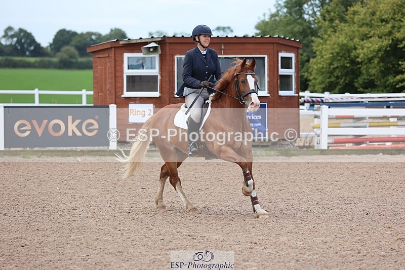 250913-100907-05990 - Cls 21 Snr British Novice and 90cm Open