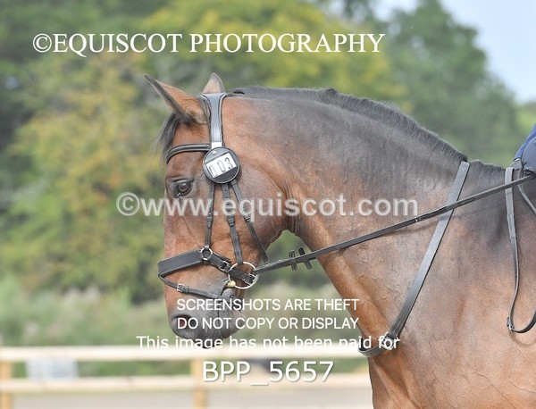 BPP_5657 - PRELIM TEST 4 LONG ARENA