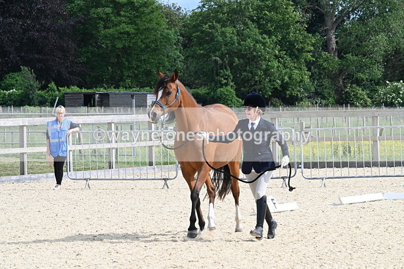 WJ7_8245 - Time 16:10 to 16:25