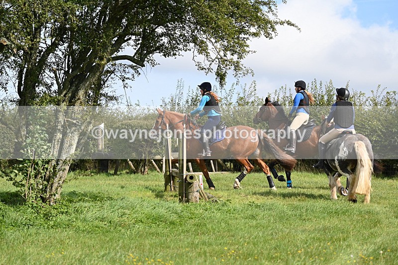 WJ6_7527 - Time 11:29 to 11:45