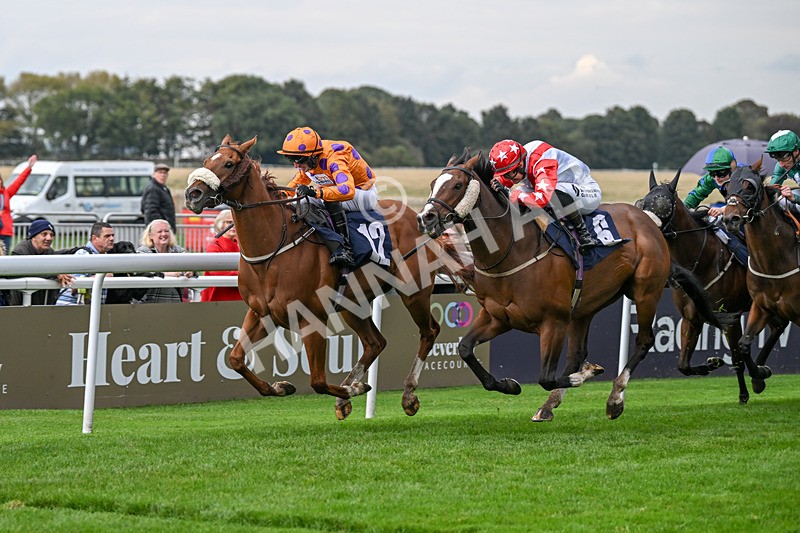 240924-Race 5-Ifonlytheycudtalk-6490 - Race 5