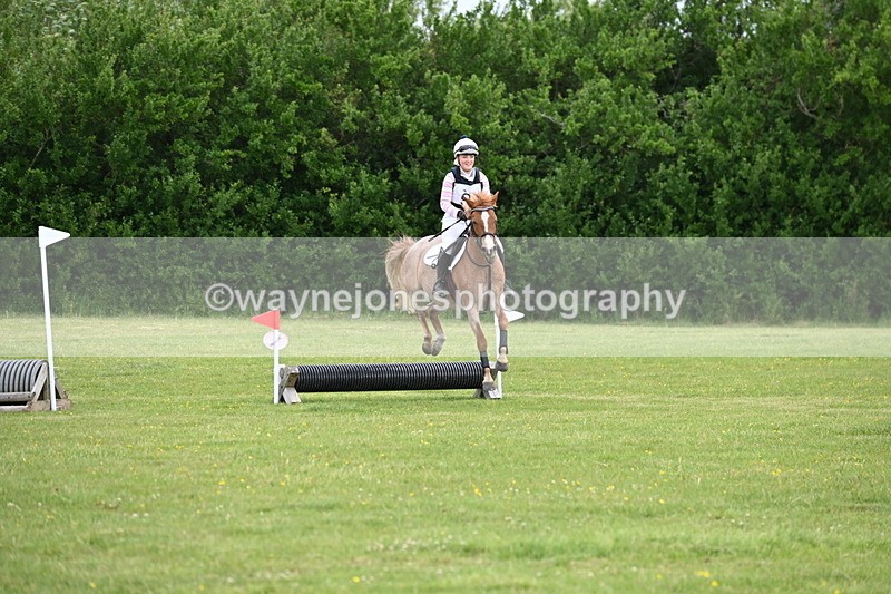 WJ6_2447 - Class 2 40cm