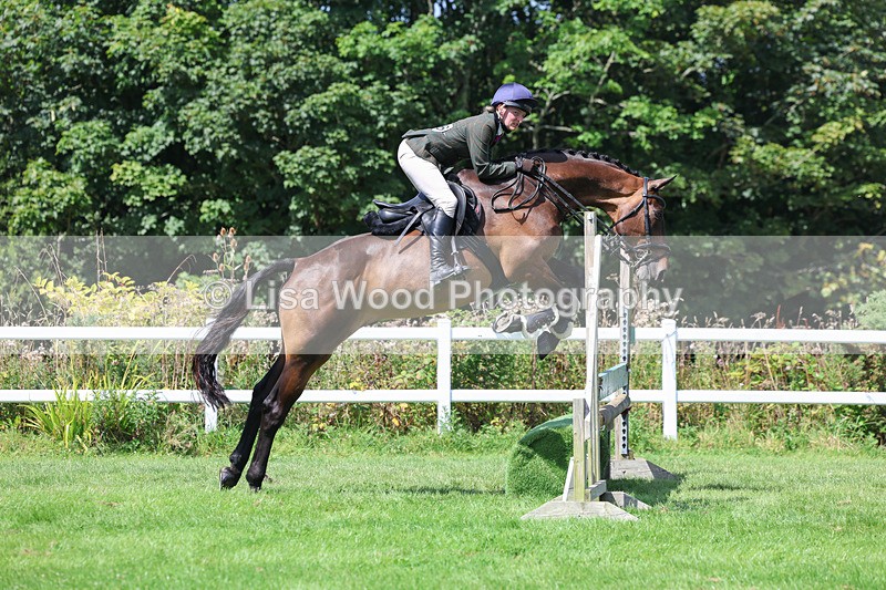 3E7A8910 - Class 6: Open Working Horse