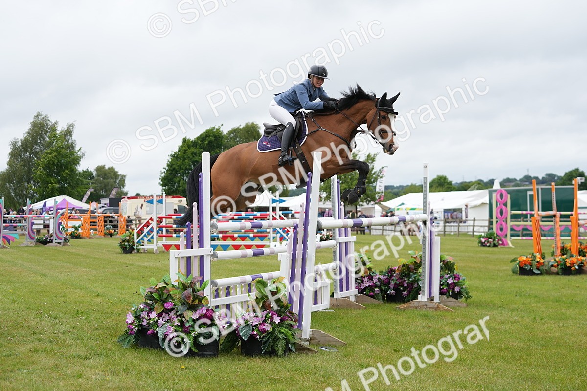 SBM_03350 - Class 201 - British Horse Feeds Speedi Beet Horse of the Year Show Grade  C