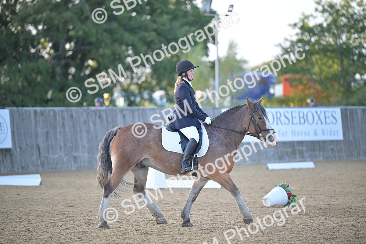 SBM_13530 - D3 - Small Tour Championship Intro 3