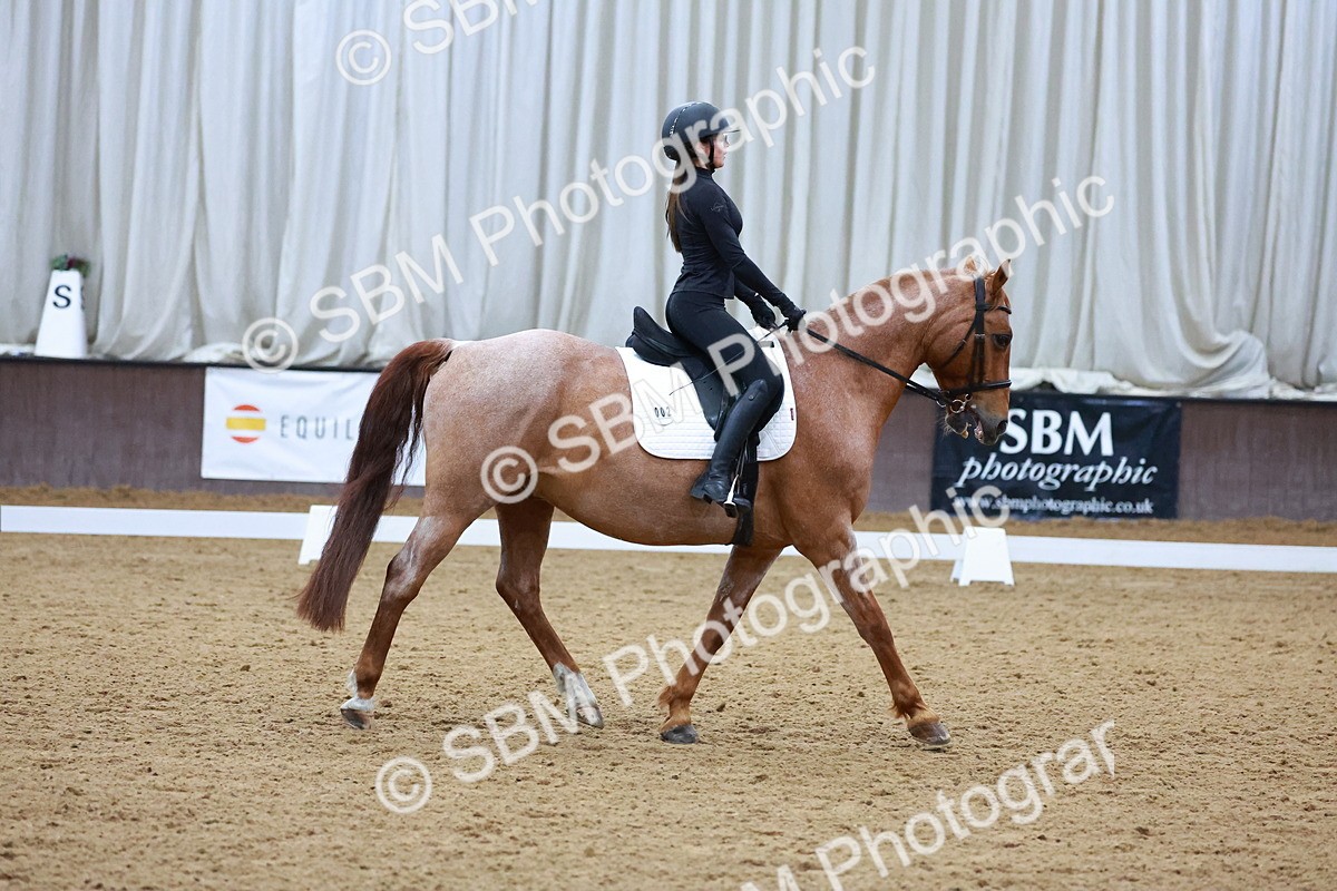 1I0A0942 - Class 3-6 - Prelim 1-Novice 2