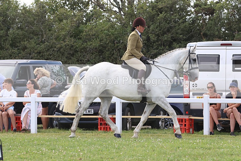 JPP_3830 - Class 23: Working Hunter 80cm