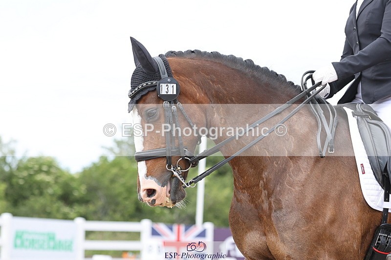 240622A-143528-13528 - Cls 33 BD Medium 73