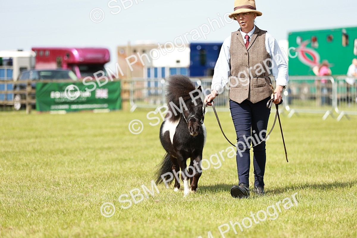 SBM_01873 - Class 14-23 - Mountain & Moorland In Hand Non Welsh