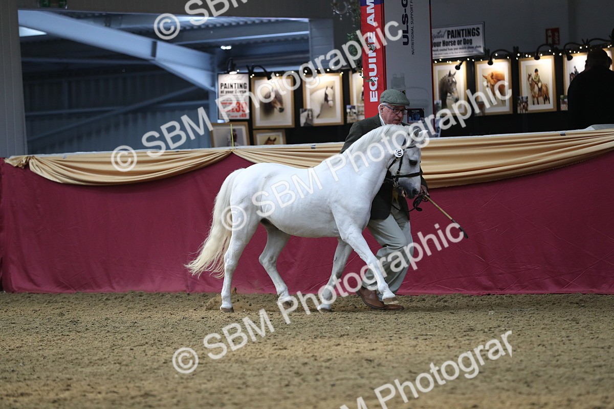 SBM_15190 - Class 501 M&M IH Supreme Final