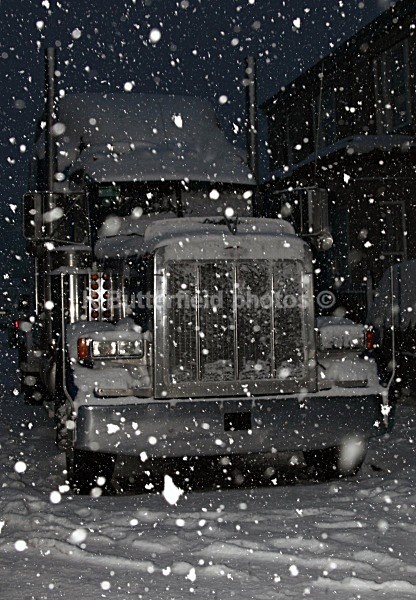 _MG_9831 - New Pics From The Snow