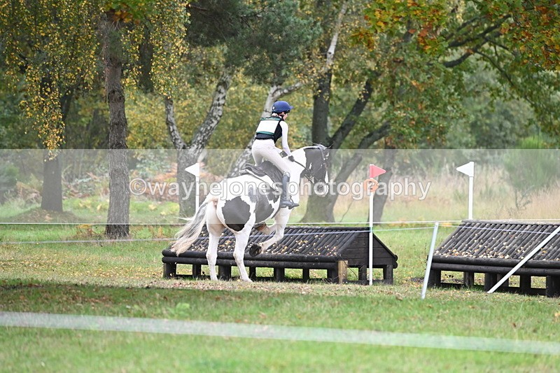 WJ6_3697 - 90cm Cam 1 Time 13:35 to 14:03