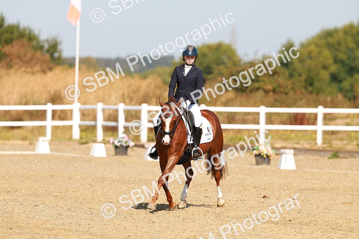 SBM_016801 - Class 9 - N5 Bronze 9.30.10.19