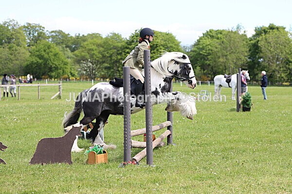 IMG_3152 - Working Hunter