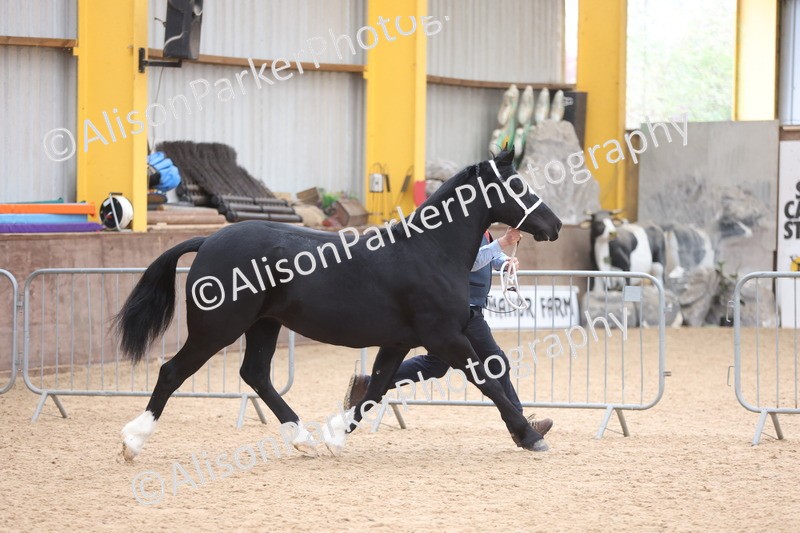 20251109-1143 - Championship