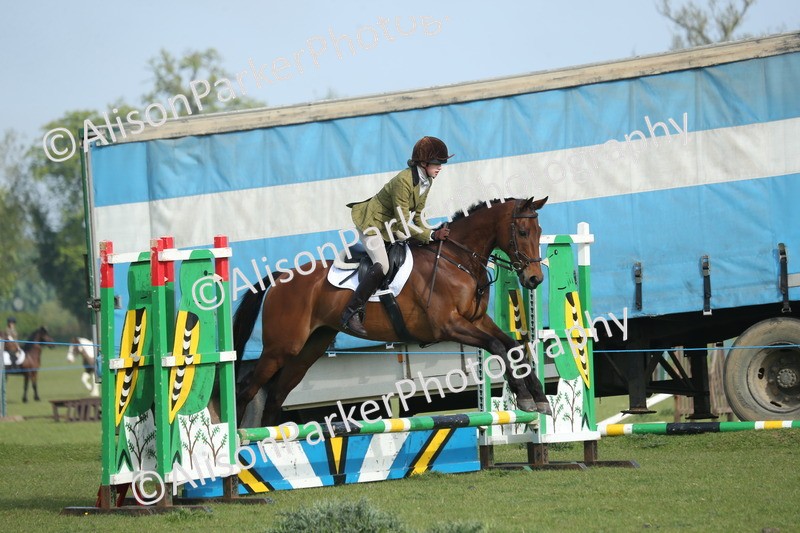 20260426-0088 - Class 13 - Rookie Jumping 50cm