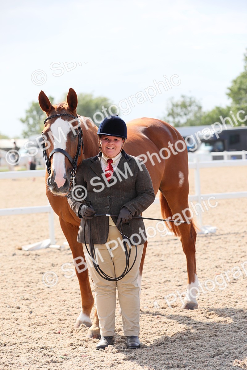 SBM_15789 - Class 312 IH Competition Horse/Pony