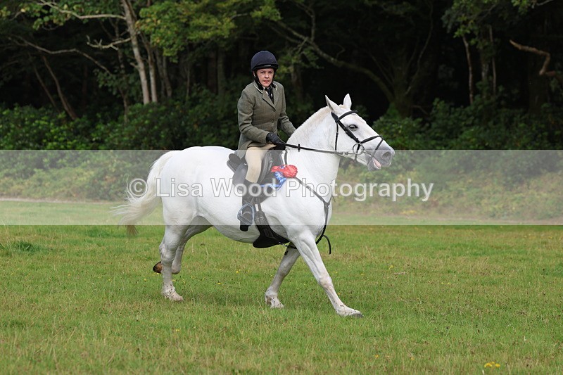 3E7A6078 - Working Hunter Championship