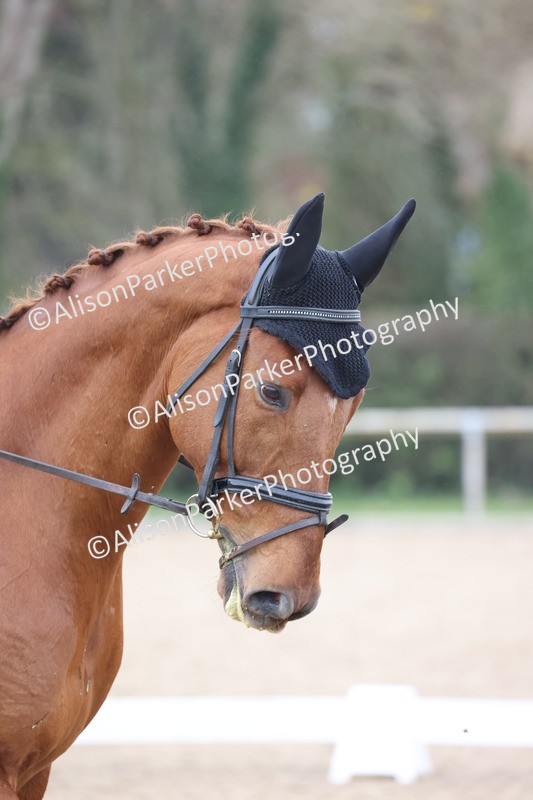 20260301-0381 - Class 3 - Novice 4