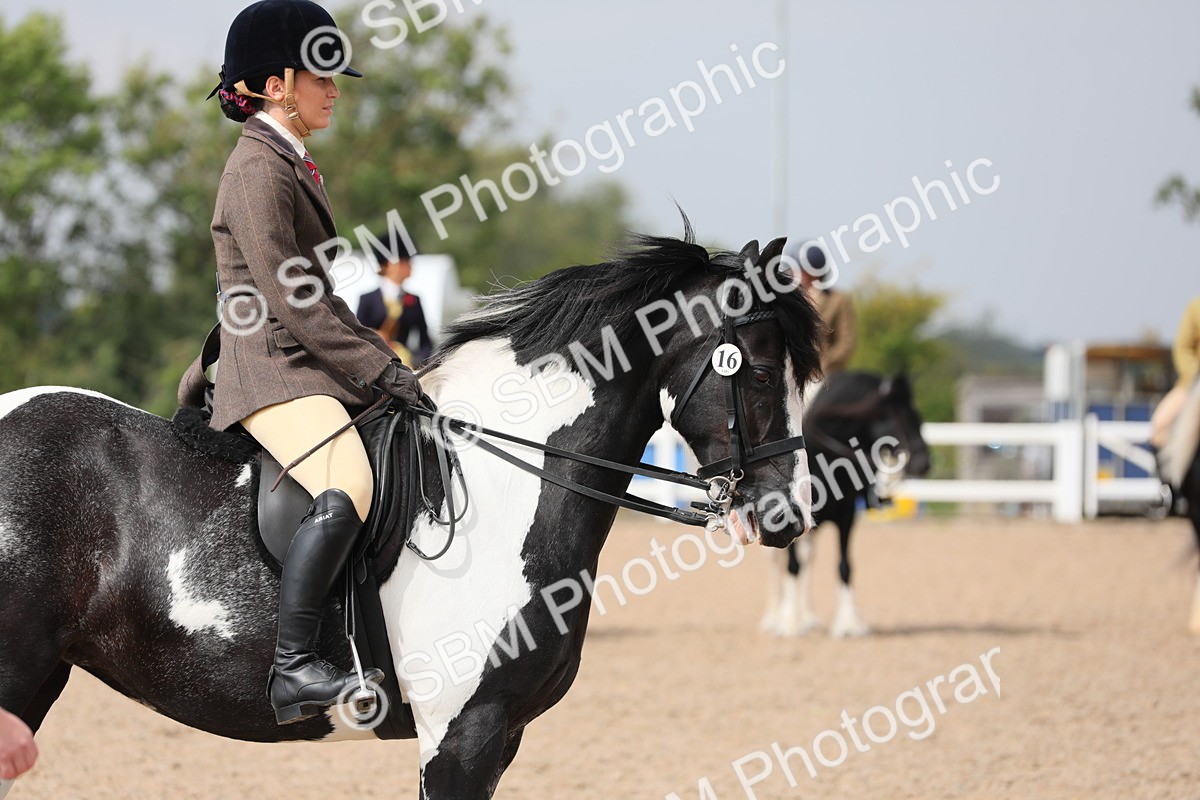 SBM_12781 - Class 307 Ridden Coloured Pony