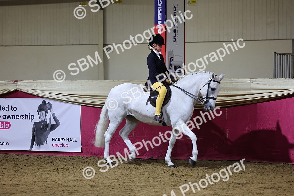 0B8A4572 - Class Q Style & Performance Champ