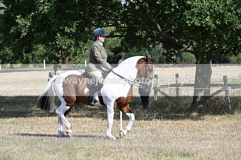 WJ7_2791 - Class 8 Ridden Tack & Turnout