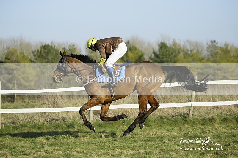 PtP 270222 492 - South & West Wilts Point-to-Point Larkhill 27/02/22