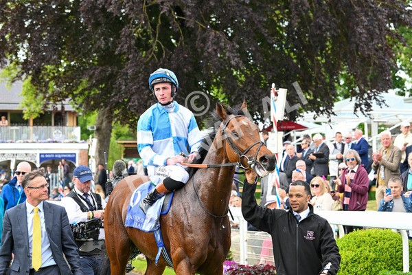 150525-Pride Of Arras-4783 - Race 4 3.45pm Al Basti Equiworld Dubai Dante Stakes
