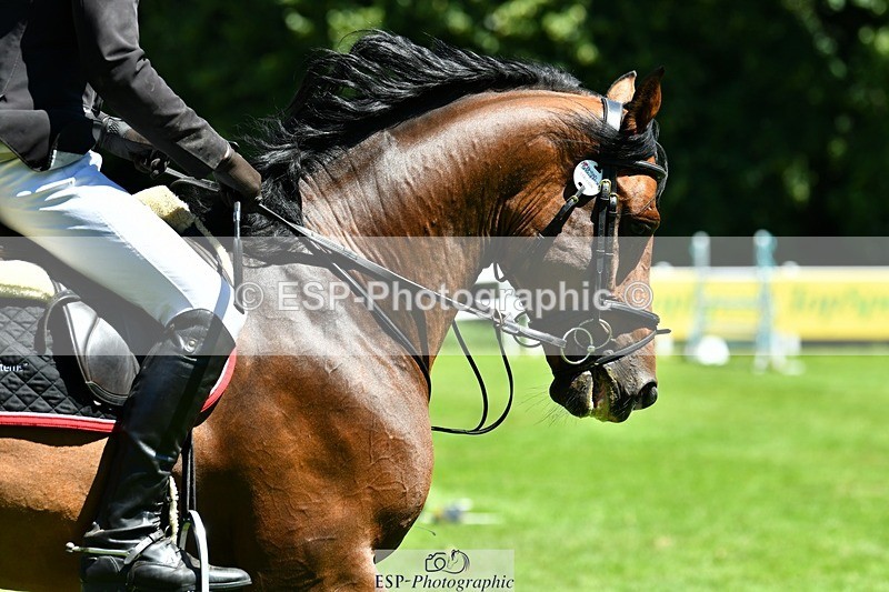 230707-122244-07700 - Cls 13 Newcomers 2nd R