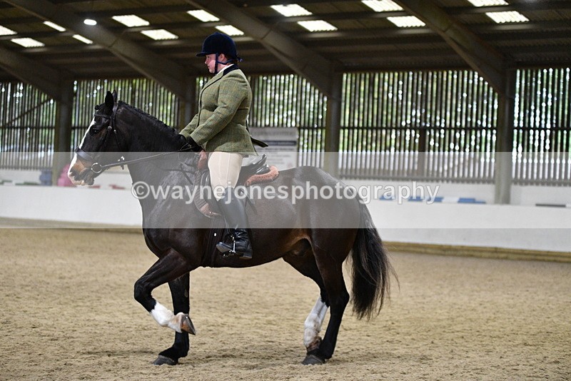 WJ5_8157 - Class 14 Novice Ridden/Rider