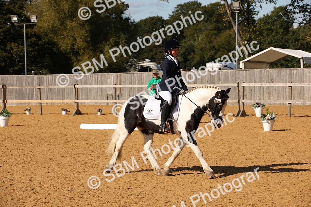 SBM_24272 - D5 - Small Tour Championship - Intro C