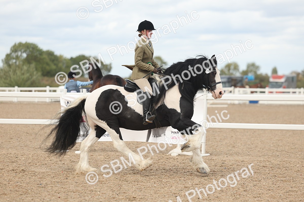 SBM_18098 - Class 314 - Family Horse Pony