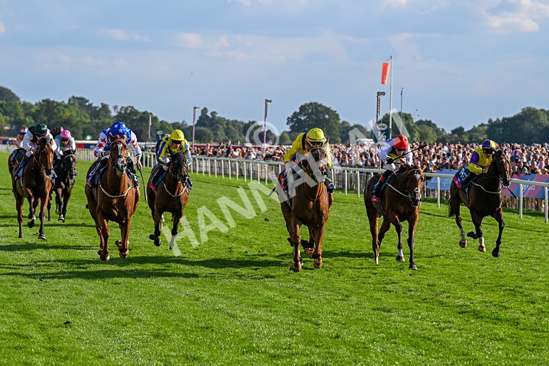 220826-Race 7-Raammee-1863 - Race 7 17.20pm Sky Bet Dav Reid Finale Handicap