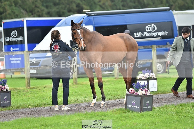 231018-123800-00412 - 050-VENDOME.BIATS-Annabel.Finston-TrotUp