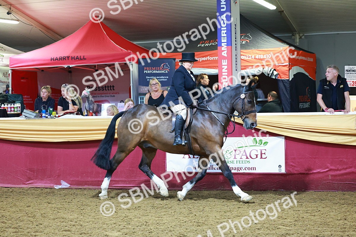 SBM_15678 - Class T - Working Veteran Champ