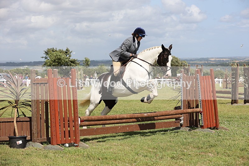 JPP_2189 - Class 19: Working Hunter 60cm