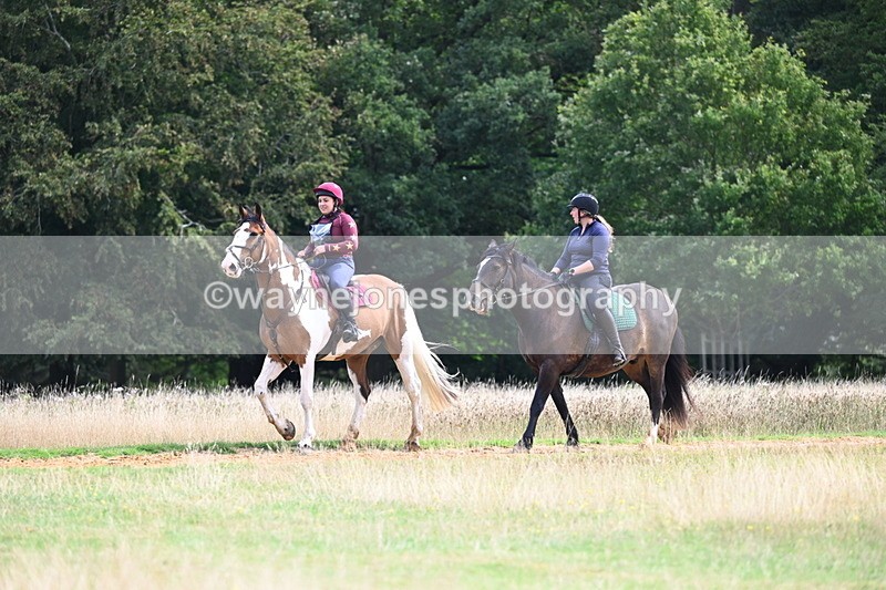 DSC_4516 - Time at Statue 09:50 to 11:09