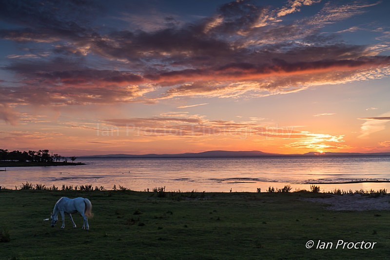 Skyscape at sunset at  Lough Neagh Pasture - County Armagh