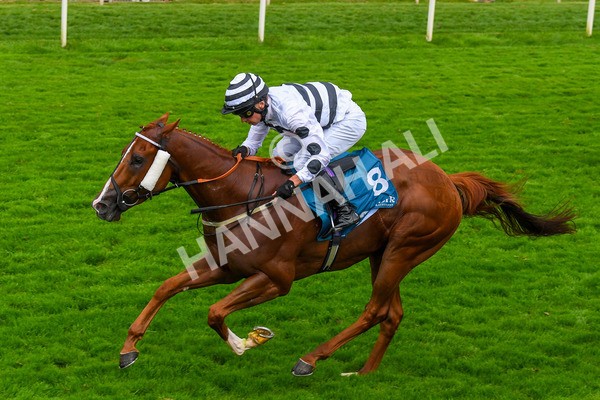 100923-Race 7-Looking For Lynda-1260 - Race 7 4.55pm Brian Taylor 50 Not Out Apprentice Handicap